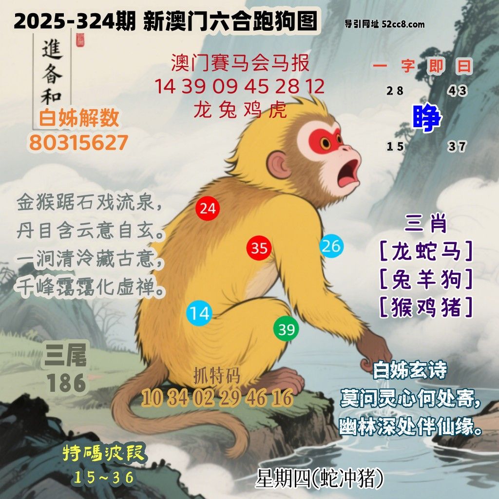 新澳门六合跑马图324期