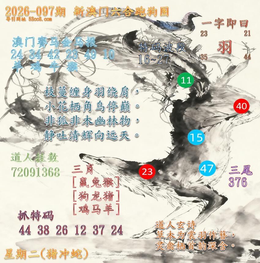 -新澳门六合跑马图097期