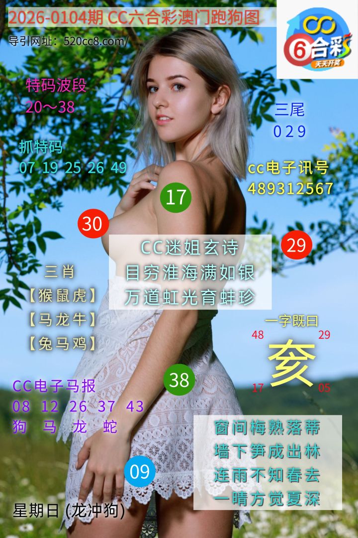 CC六合澳门跑马图0104期