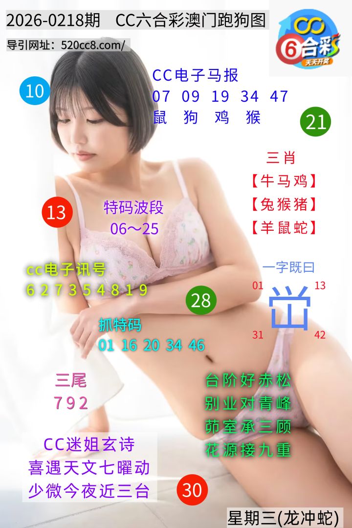 CC六合澳门跑马图0218期