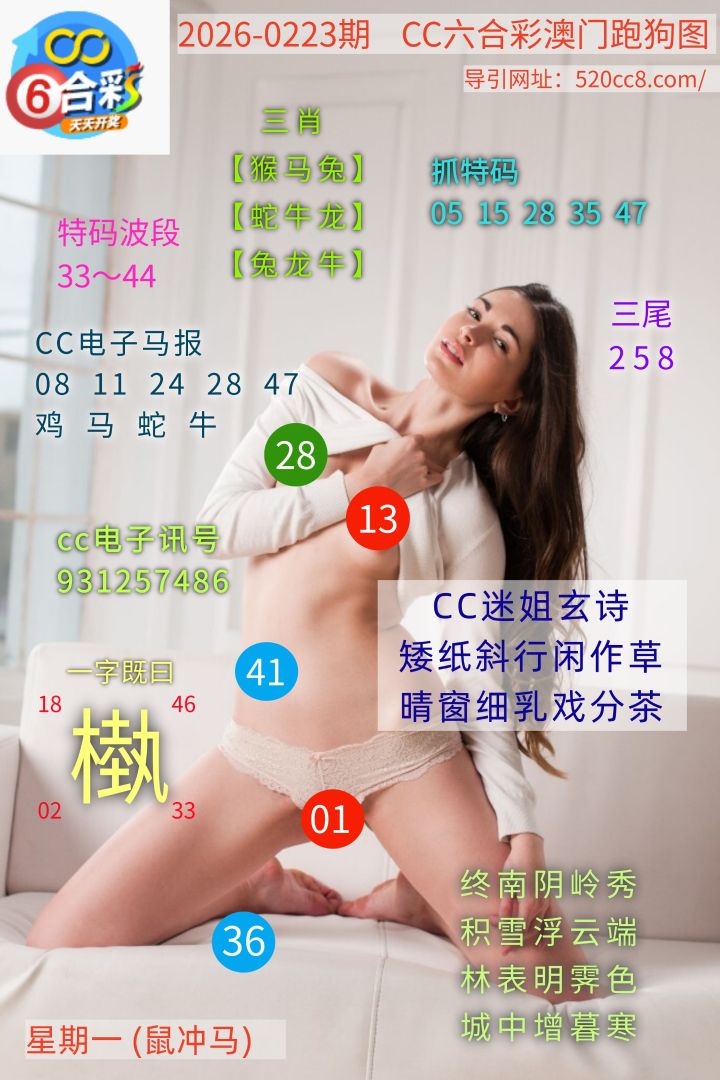CC六合澳门跑马图0223期
